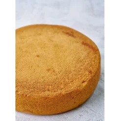 Best BrandNewCake Biscuit-mix Suikervrij & Lactosevrij 400g