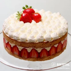 Sale BrandNewCake Spuitmondje Glad #1A