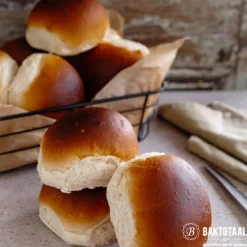 Online Bruggeman Gist instant (5x11gr)