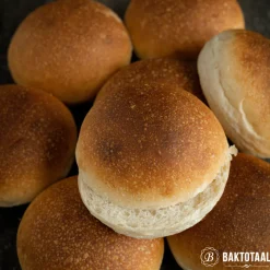 Online Bruggeman Gist instant (5x11gr)