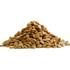 Best Callebaut Chocolade Callets Gold 20kg