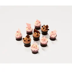 Callebaut Chocoladedecoratie Snobinette Cupje Puur 90st.
