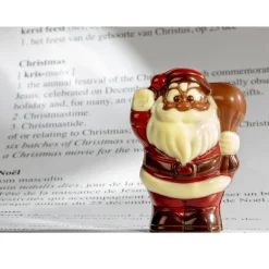 Clearance Chocolate World Chocolademal Kerstman (4x) 84x60x36mm