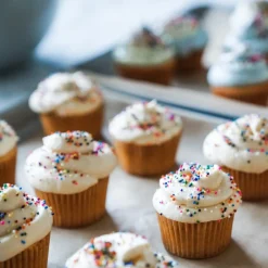 If You Care Cupcake Vormpjes Kraft Mini Ongebleekt 35x19mm 90st.