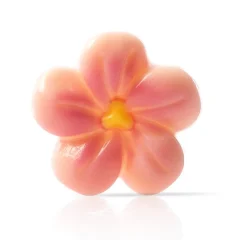 Outlet Dobla Chocoladedecoratie Perzik Bloesem (200 stuks)