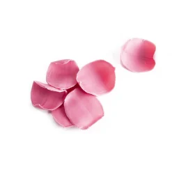 Online Dobla Chocoladedecoratie Rozen Blaadjes PaarsRoze (200 gram)