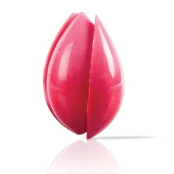 Outlet Dobla Chocoladedecoratie Tulp Rood (20 stuks)