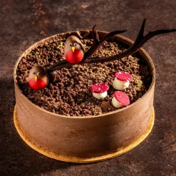 Hot Dobla Chocoladedecoratie Roodborstje (36 stuks)**