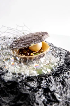 Sale Dobla Chocoladedecoratie Oester (12 stuks)