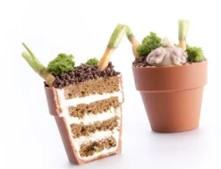 Outlet Dobla Chocoladedecoratie Bloempot Large (28 stuks)