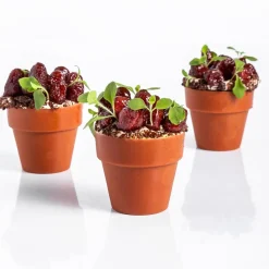 Online Dobla Chocoladedecoratie Bloempot Medium (66 stuks)