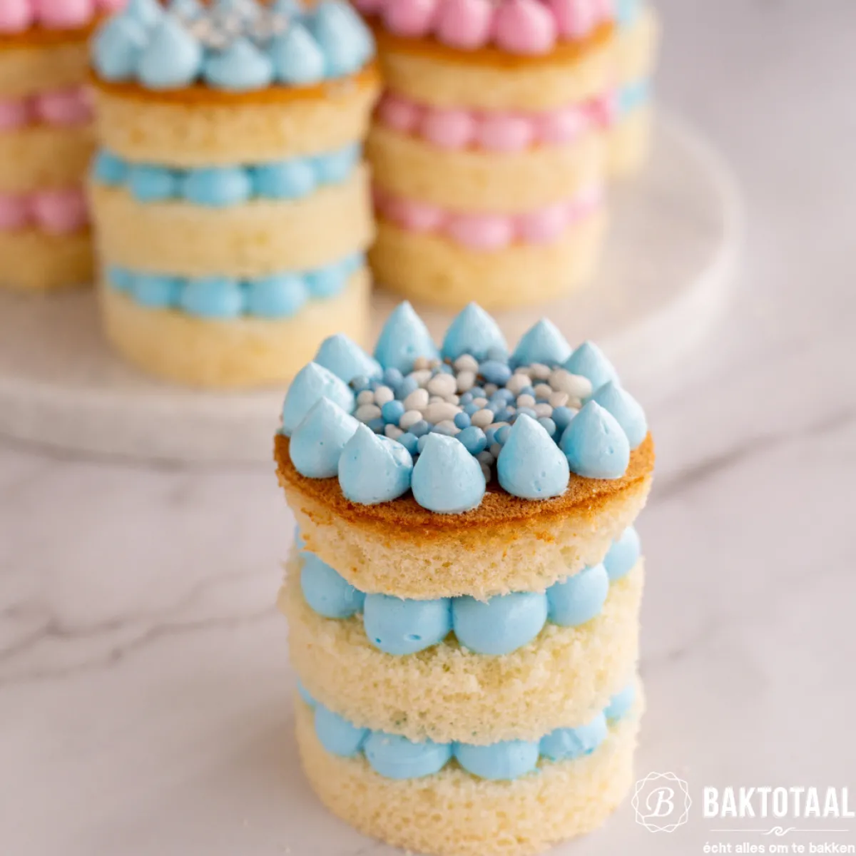 Hot Overig Geboortestrooisel Anijs Roze/Wit 1,5kg