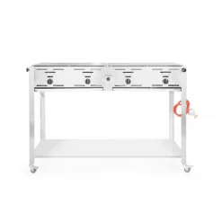 Online Hendi Grill-Master Quattro gasbarbecue