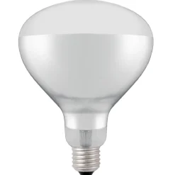 Hot Hendi Infrarood Warmtelamp 250W