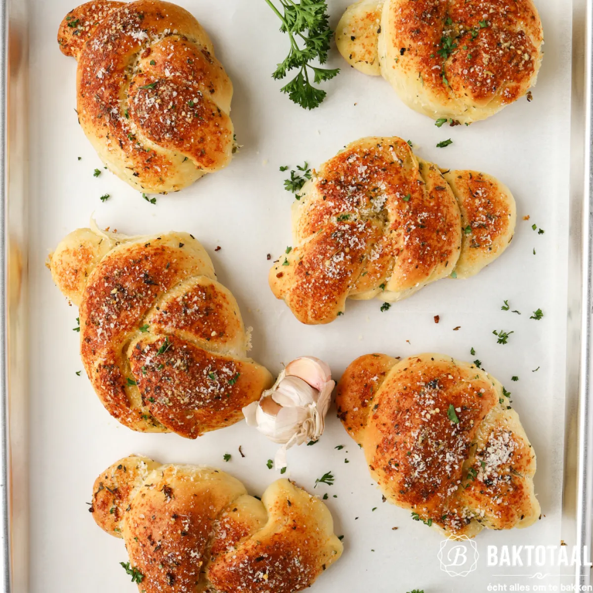 Best Demeter Knoflook Poeder Biologisch 20g