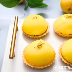 Clearance Molen de Hoop Bavarois Citroen 100gr