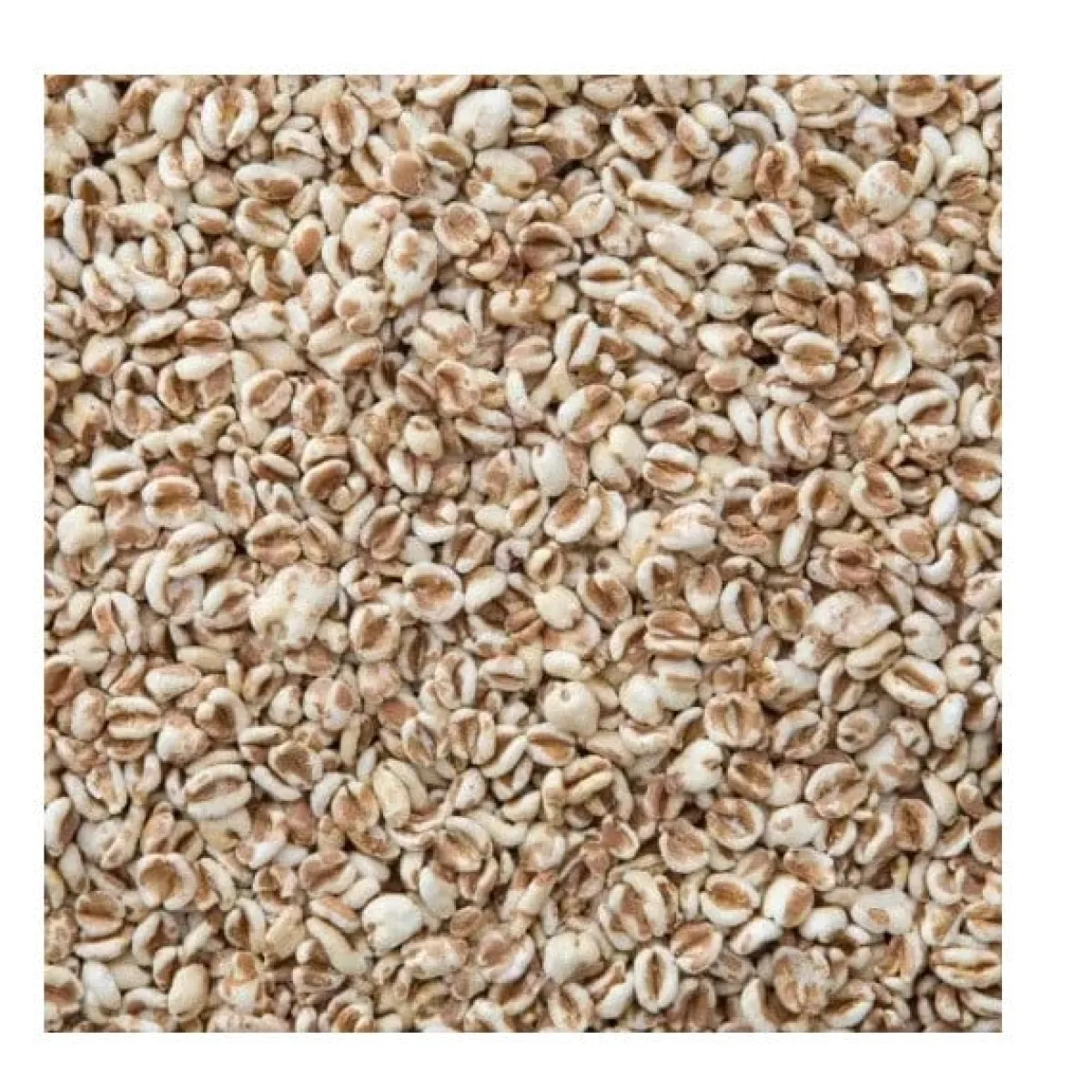 New Molen de Hoop Gepofte Spelt 200g