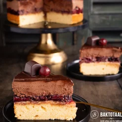 Best Molen de Hoop Vulkaan Bakpoeder 100gr