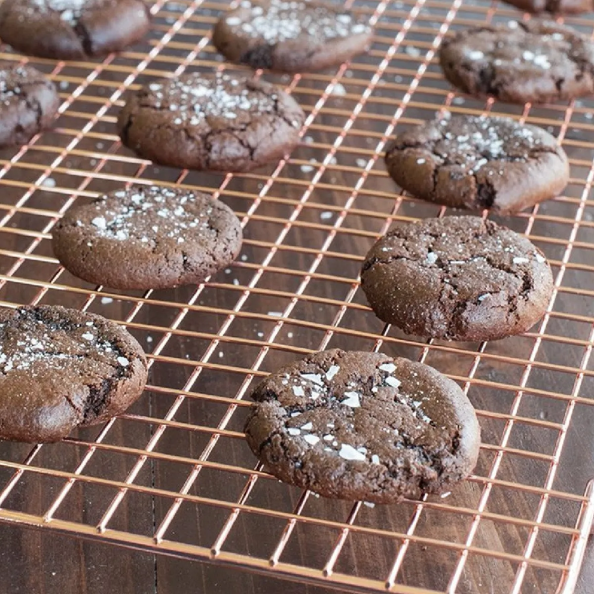 Clearance Nordic Ware Koel / Druip Rek Koper 51x40cm