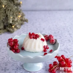 Online Patidess IJspoeder/Basis voor Vers IJs 240g