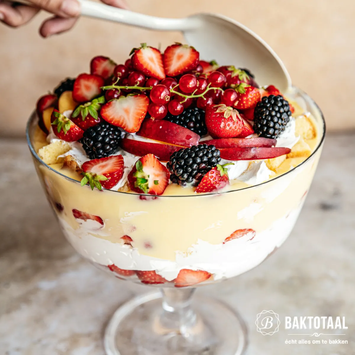 Best Patisse Cakevorm Ceramic 30cm