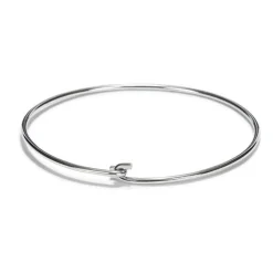 Online Patisse Ring t.b.v. Uitstekers RVS Ø12cm