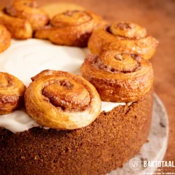 Best Patisse Springvorm Profi Ø22cm