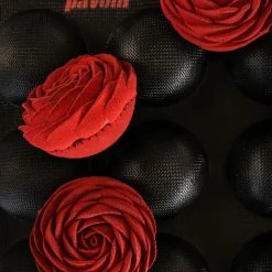 New Pavoni Fiberform Halfrond Ø8x4cm (24) 60x40cm