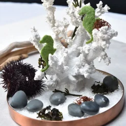 Best Pavoni Siliconen Vorm Stenen 36x28mm (28) 30x17,5cm