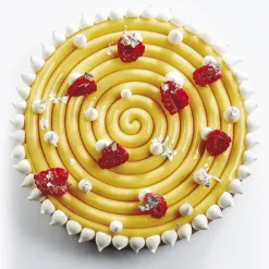 Discount Pavoni Siliconen Vorm Top-Ipnosi Ø160mm