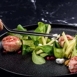 Best Plate-it Precisie Pincetten Set/2