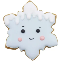 Discount PME Koekjes Uitstekers Sneeuwvlokken Set/3
