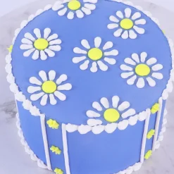 New PME Spuitmondjes Bolletjes & Schelpen Set/3