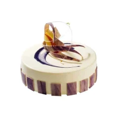 New Silikomart Siliconen Bakvorm Rond Ø24x4,2cm + Ring