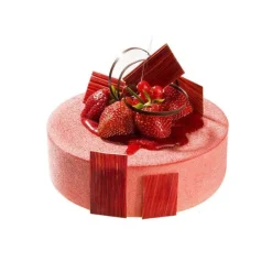 Clearance Silikomart Siliconen Bakvorm Rond Ø20x4cm + Ring