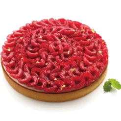 Online Silikomart Taartring Exoglass Geperforeerd Ø21x2cm