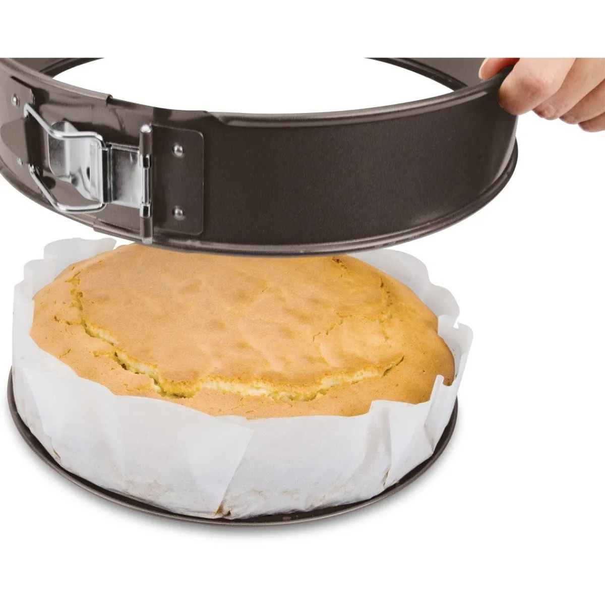 Discount Städter Stadter Bakpapier Rond Ø37cm 10st.