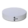 Best Taart Dummy rond 5cm -Ø30cm-