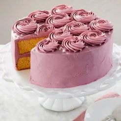 Hot Wilton Performance Taartpan Rond Ø25x5cm