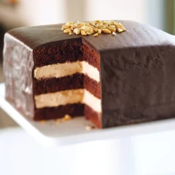 Wilton Performance Taartpan Vierkant 25x25x5cm