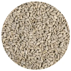 Best BrandNewCake Zonnebloempitten 250g