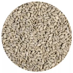 BrandNewCake Zonnebloempitten 3kg